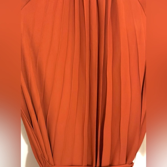 NANETTE LEPORE Fit and Flare Flutter Pleaded lined Dress - Picture 5 of 6